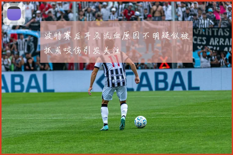波特赛后耳朵流血原因不明疑似被抓或咬伤引发关注